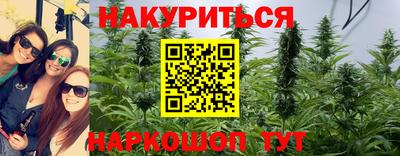 шишки Новозыбков