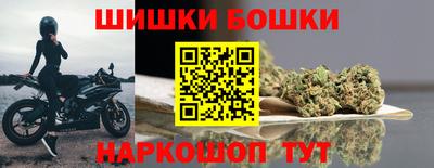 шишки Новозыбков