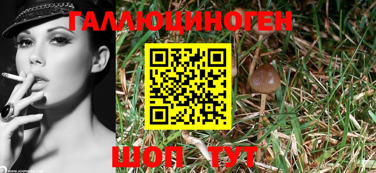 Галлюциногенные грибы GOLDEN TEACHER  Галлюциногенные грибы Magic Shrooms  Кинешма  Вход с VPN 